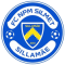 FC NPM Silmet team logo 