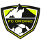 FC Ordino team logo 