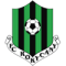 Rokycany team logo 