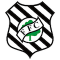 Figueirense SC team logo 