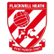 Flackwell Heath team logo 