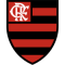 Flamengo team logo 