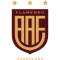 Flamengo team logo 