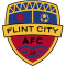 FLINT CITY AFC team logo 
