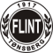 IL Flint team logo 