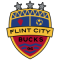 Flint City Bucks team logo 