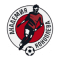 Football Academy Of Konoplev team logo 