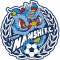 Foshan Nanshi FC team logo 