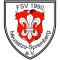 FSV Neusalza-Spremberg team logo 