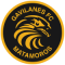 Gavilanes De Matamoros team logo 