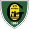 GKS Katowice team logo 