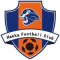 Guangdong Meizhou Hakka FC team logo 