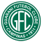 Guarani team logo 