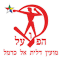 Hapoel Dalit El Carmel team logo 