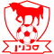 Bnei Sakhnin team logo 