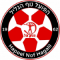 Hapoel Nof Hagalil FC team logo 