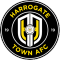 Harrogate Town team logo 