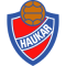 Haukar Hafnarfjordur team logo 