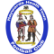 Haywards Heath Town team logo 