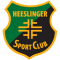 Heeslinger SC team logo 