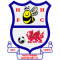 Holyhead Hotspur team logo 