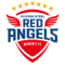 Incheon Hyundai Steel Red Angels