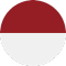 Indonesia team logo 