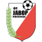 FK Javor Matis team logo 