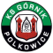 KS Gornik Polkowice team logo 