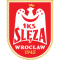 Sleza Wroclaw team logo 