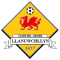 Llanuwchllyn FC team logo 