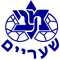 Maccabi Shaaraim team logo 