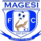 Megesi FC