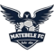 Matebele team logo 