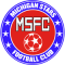 Michigan Stars FC team logo 