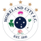 Moreland City FC team logo 