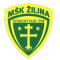 MSK Zilina B team logo 