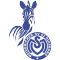Duisburg team logo 