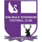 Nailsea And Tickenham FC team logo 