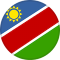 Namibia team logo 