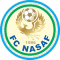 Nasaf Qarshi team logo 