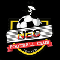 NEC FC team logo 