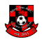 New Inn AFC team logo 