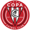 New Jersey Copa FC team logo 