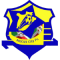 Ngozi City FC team logo 