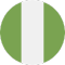 Nigeria F team logo 
