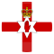 Nordirland team logo 
