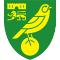 Norwich team logo 