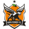 Nova Iguacu FC RJ team logo 