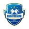 Nsoatreman FC team logo 
